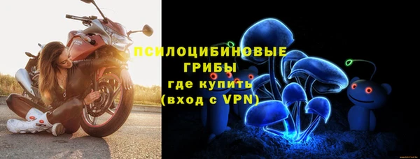 прущие крисы Абаза