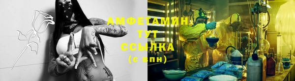 прущие крисы Абаза