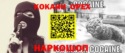 шишки Кимры
