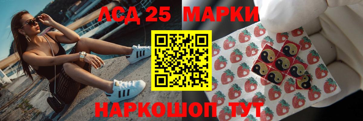 Псилоцибиновые грибы Майский