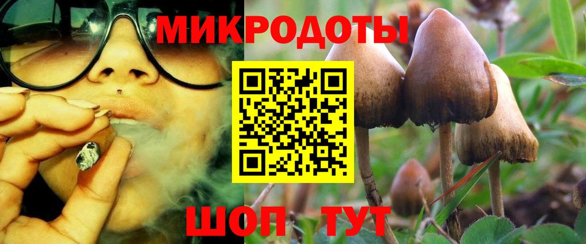 закладки  Вход с VPN  Майский  Псилоцибиновые грибы Cubensis 
